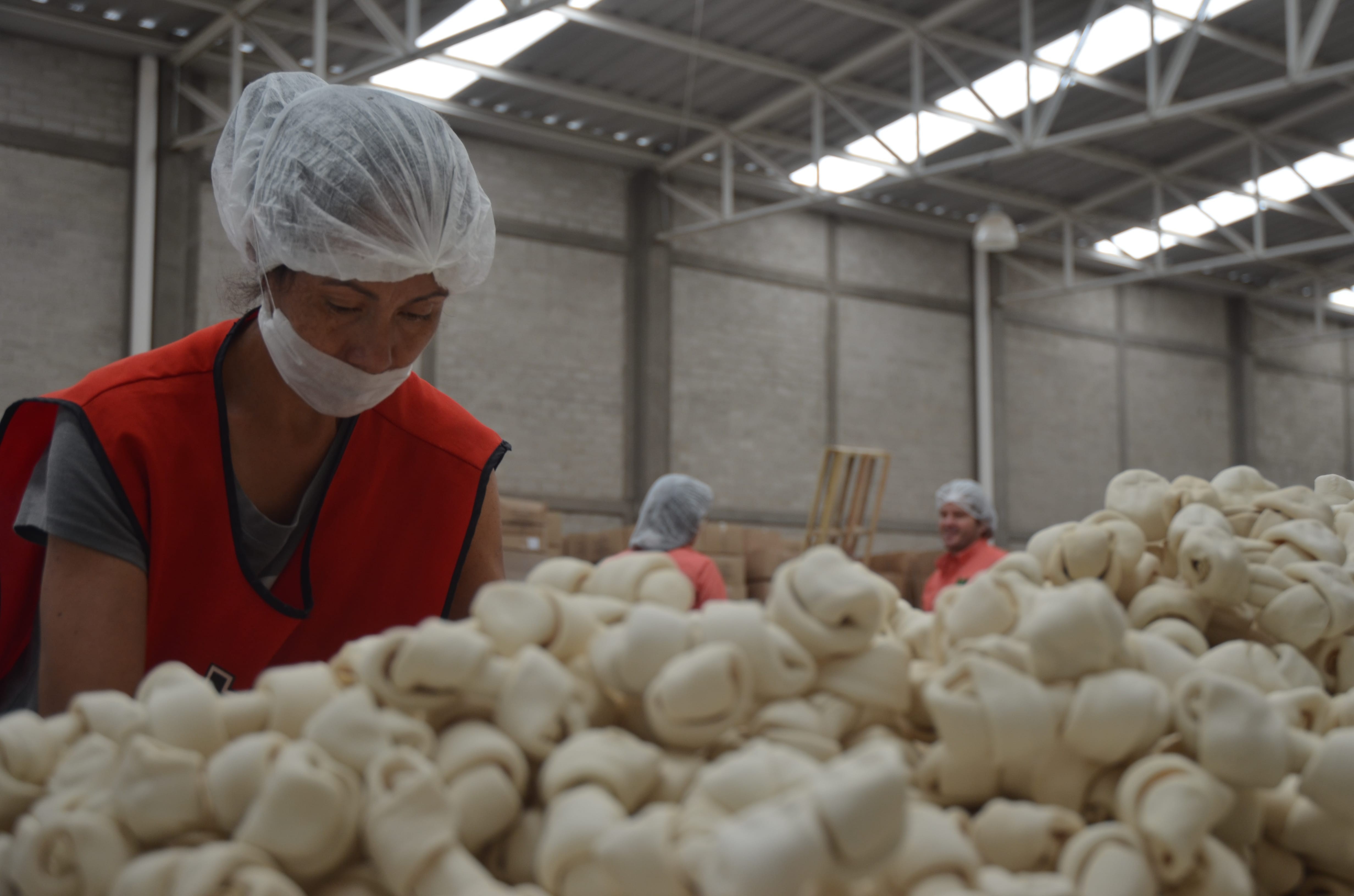 Comercializan juguetes para mascotas para el mundo