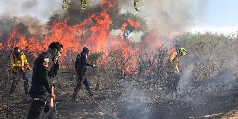 Incendio en León consume 50 hectáreas