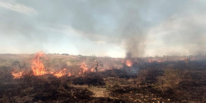 Fuego consume 250 hectáreas de pastizal en León