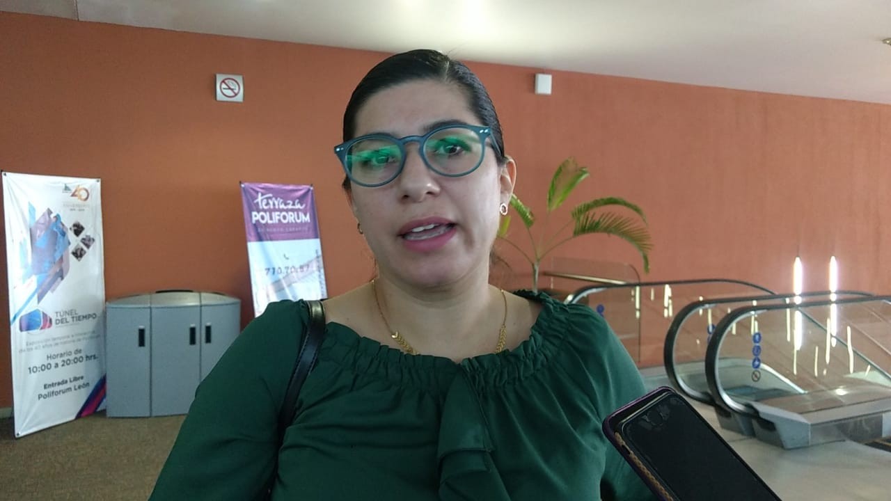 Gobierno estatal, responsable de delitos en Salamanca: Partido Verde