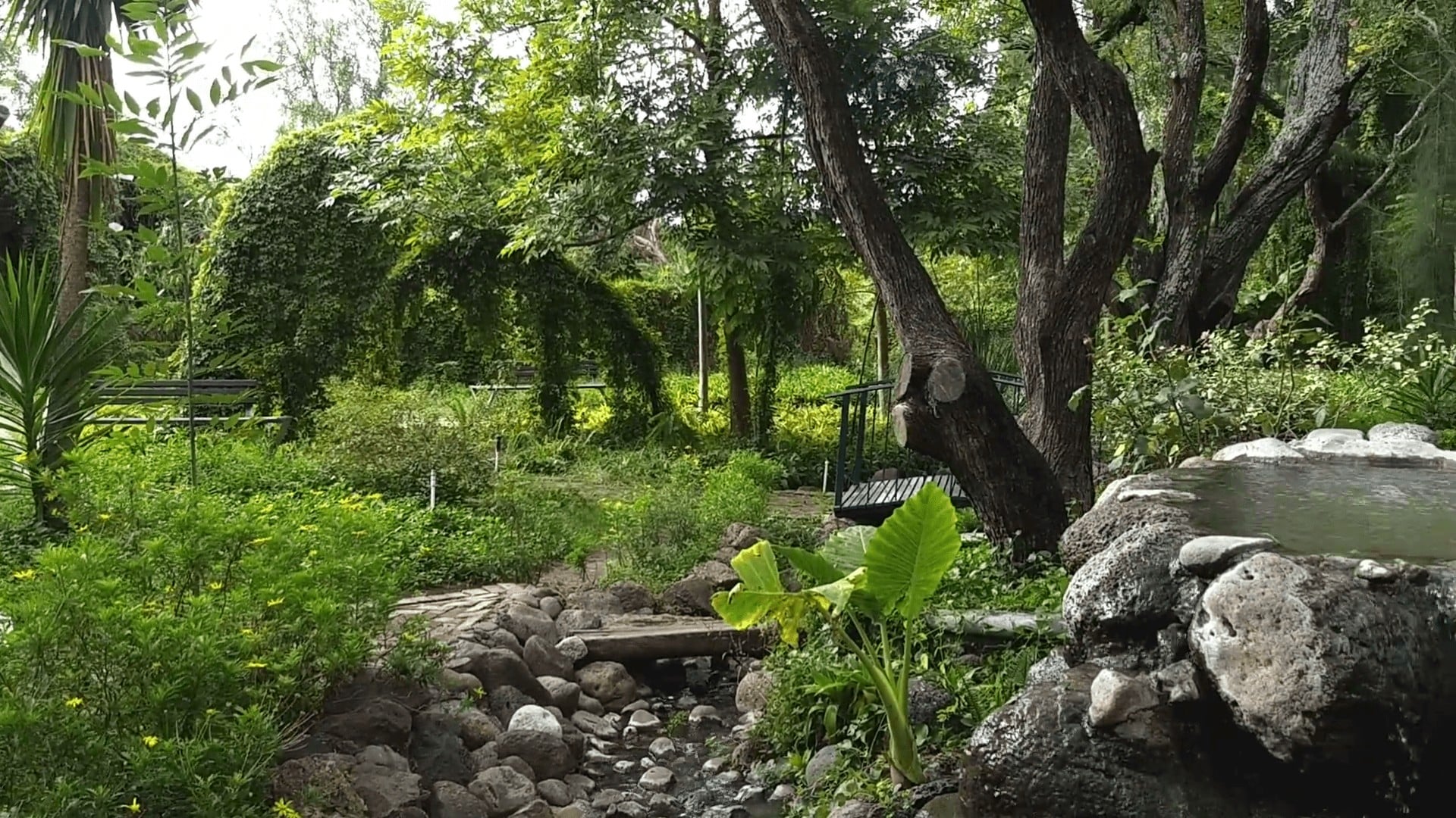 Invitan a evitar fogatas en Sierra de Lobos
