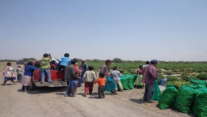 Atenderán a jornaleros mixtecos en León