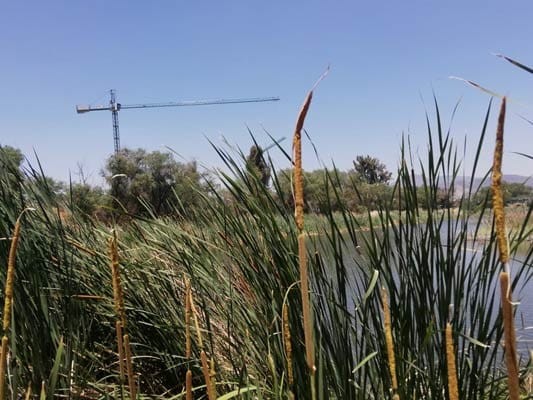 Llama alcalde a 'socializar' el proyecto City Center