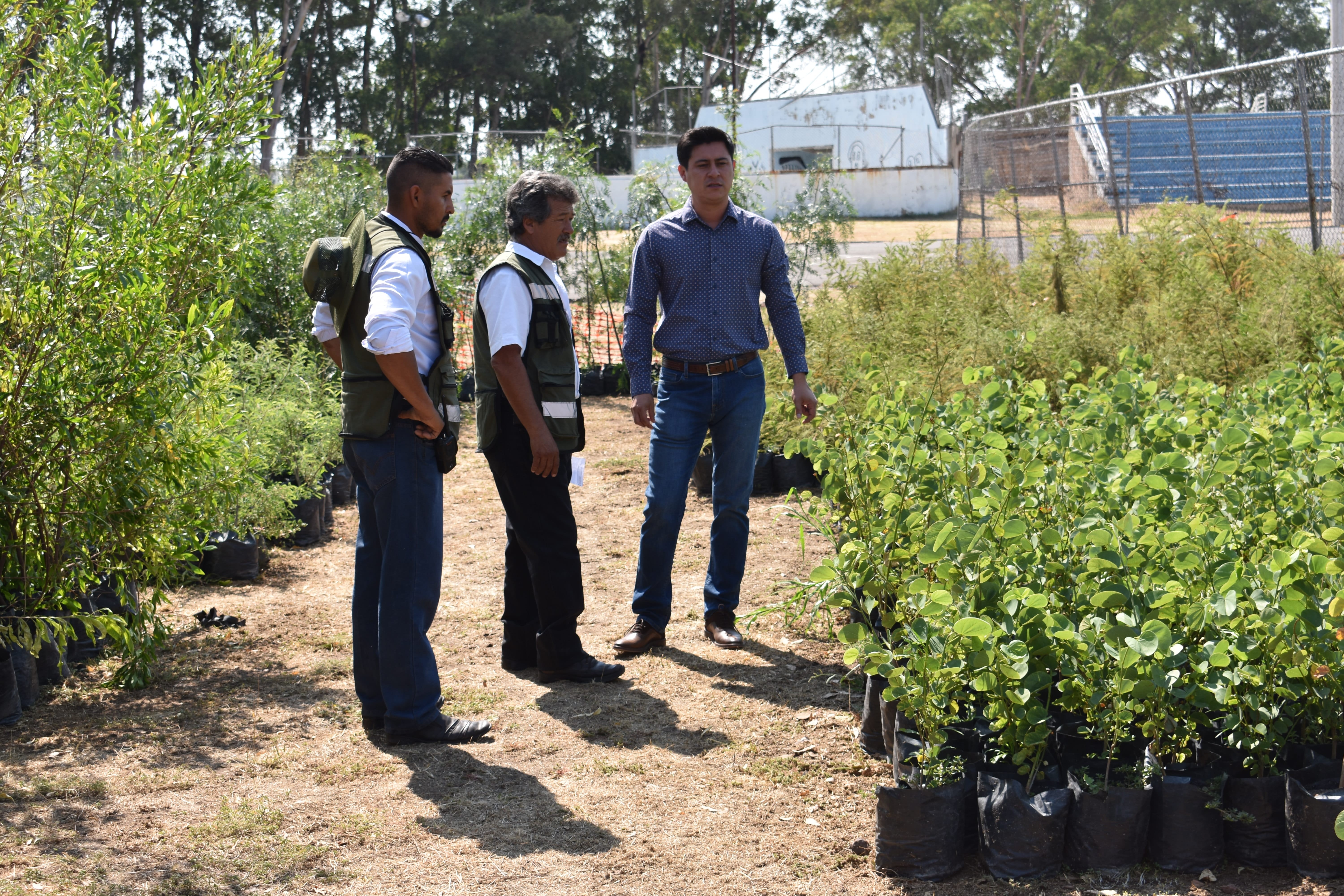 Arranca programa de Reforestación en Manuel Doblado