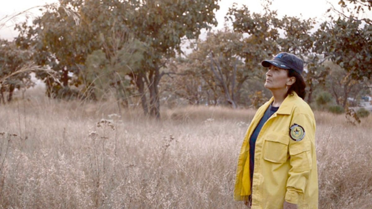 FICMA presenta Semillas contra el Despojo en SMA