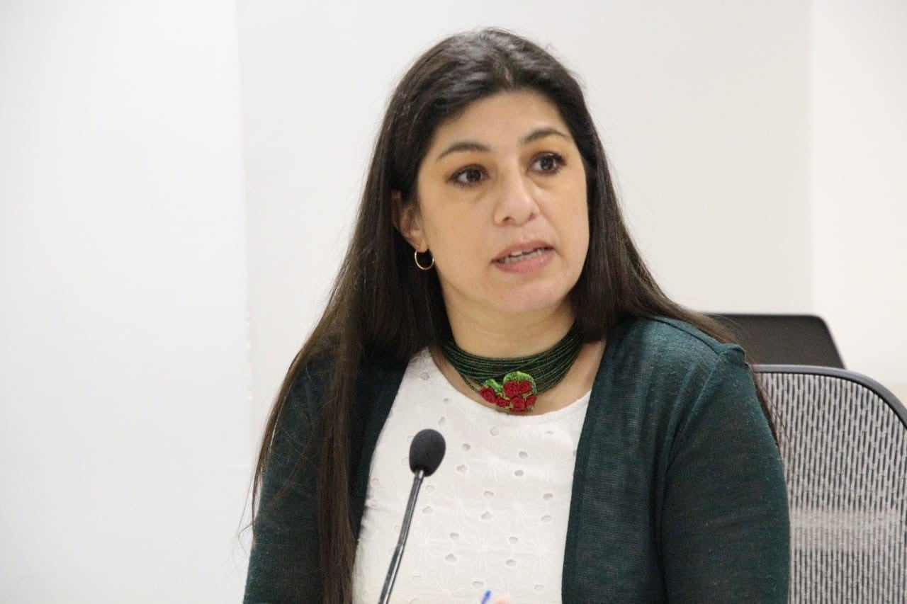 Pide PVEM retirar concesiones a transportistas que no cumplan con compromisos