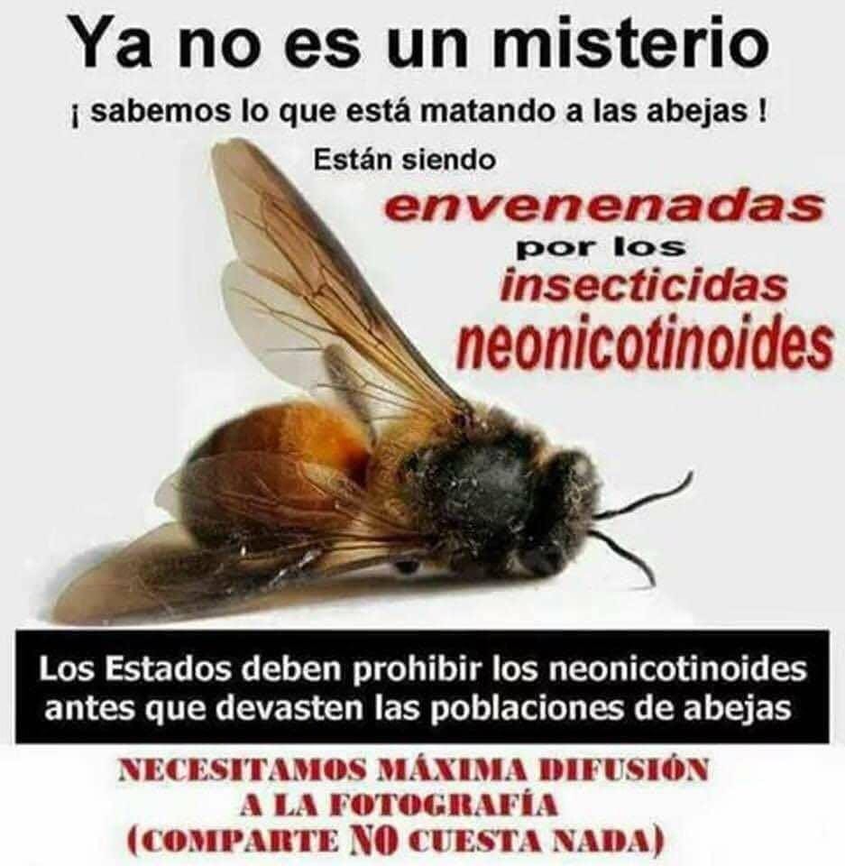 Se reúnen diputados panistas con gente del campo en pro de las abejas