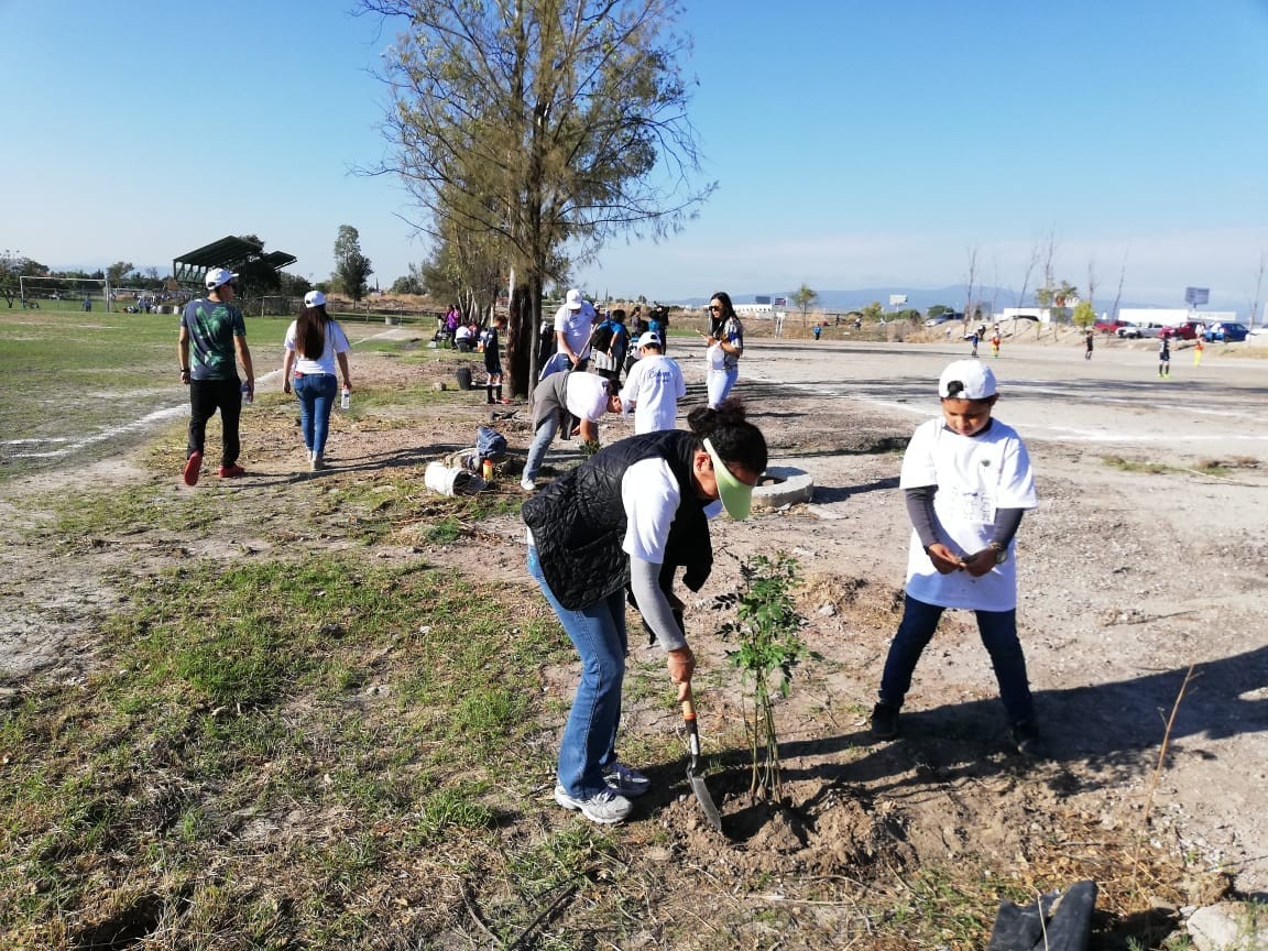 Arranca SMAOT Campaña Estatal de Reforestación Urbana 2019