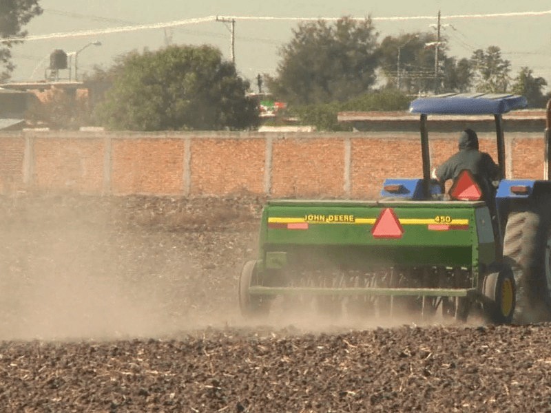 Preocupa falta de lluvias en campo leonés