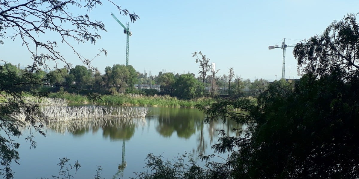 ¡A salvar el Humedal de Los Cárcamos!