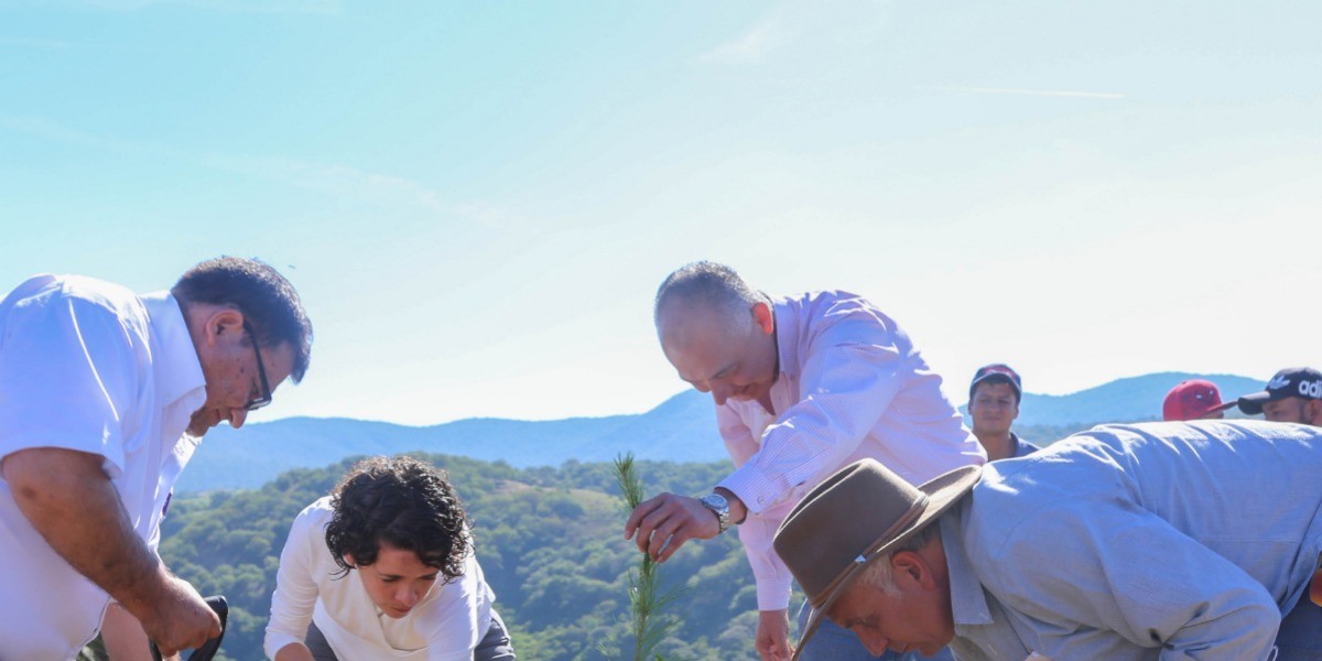 Reforestan Área Natural Protegida Cuenca de la Soledad