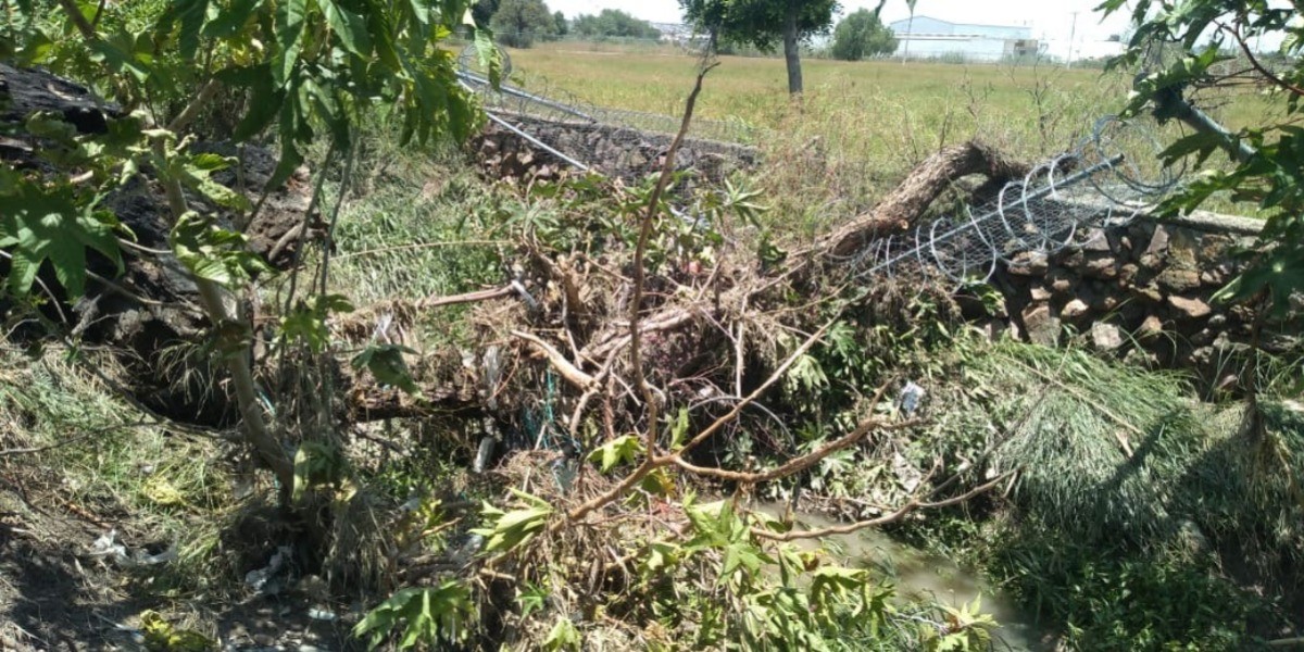 Provoca lluvia caída de barda y dos árboles