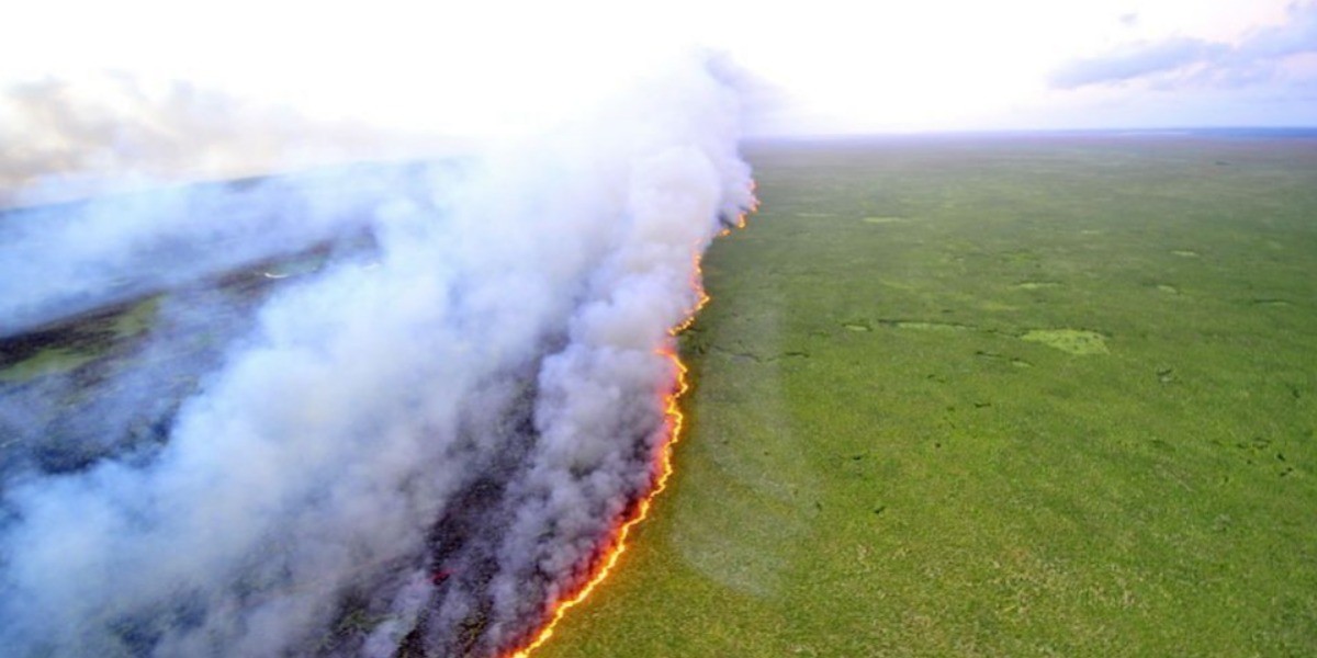 Abrasa infierno a la Amazonia