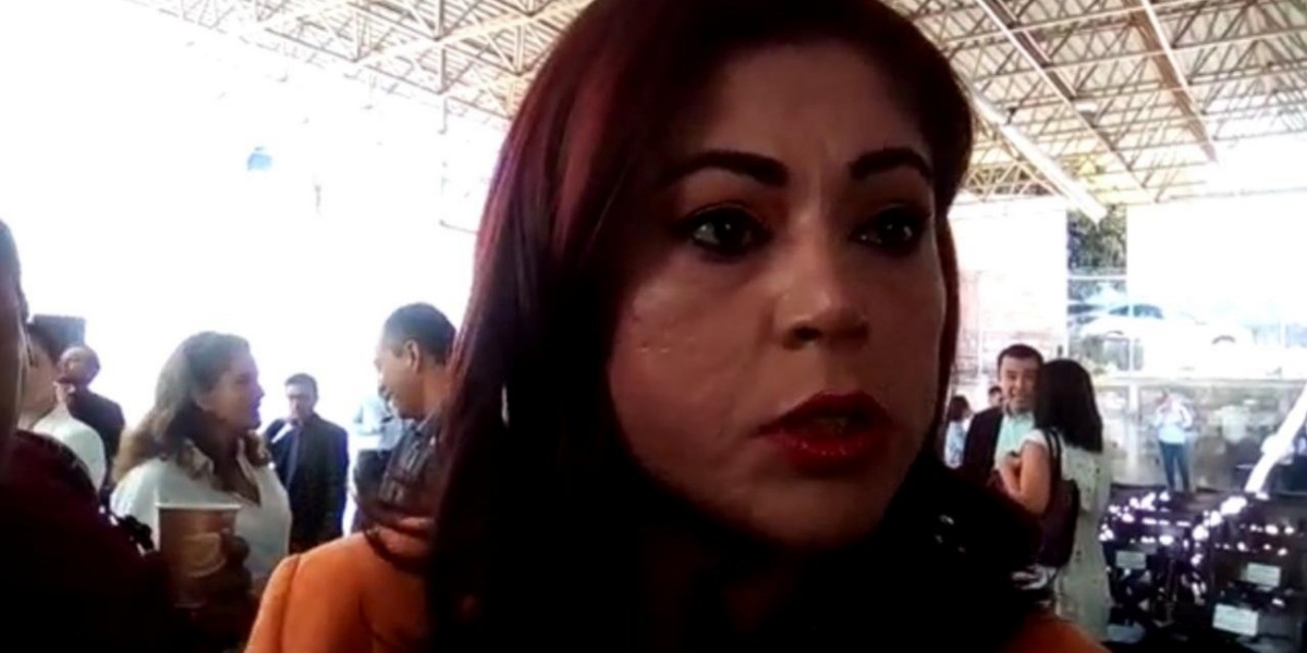 Se deslinda Ruenes de posibles denuncias del PVEM por el City Manager