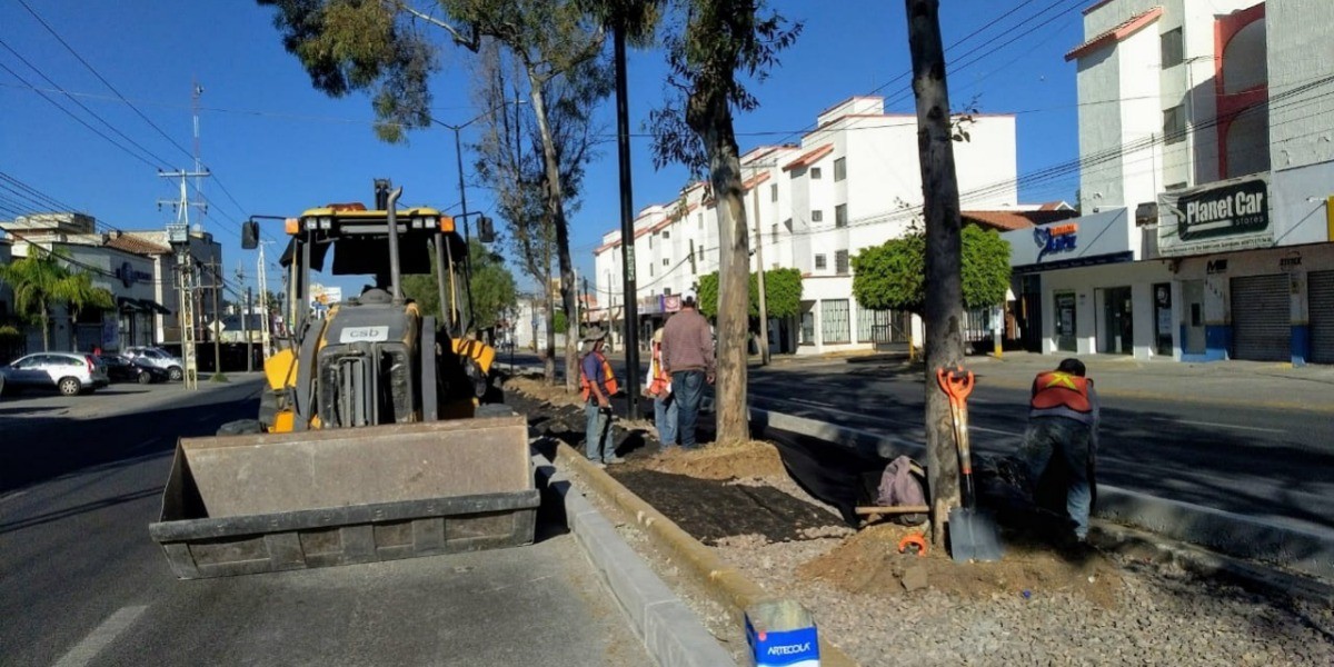 Analizan restringir información de constructores por seguridad