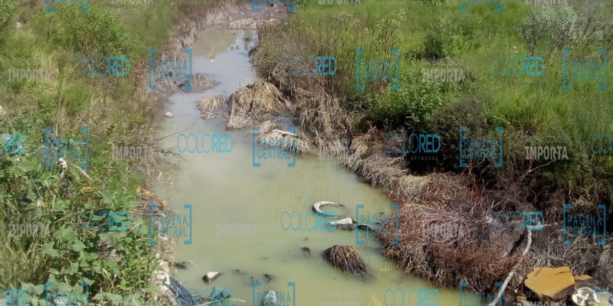 Evacuan Brisas del Campestre por toma clandestina