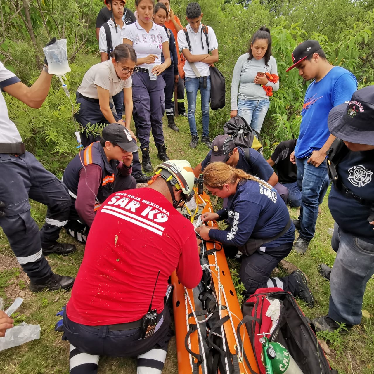 Se pierde abuelito en el cerro, lo pican abejas y muere