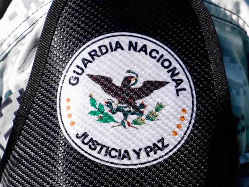 Guardia Nacional no es la panacea en atención a violencia e inseguridad: Pilar Ortega