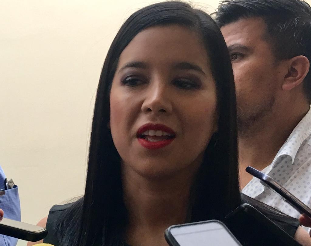 Legisladores locales deben defender reformas al Código Penal derivadas por “halconeo“