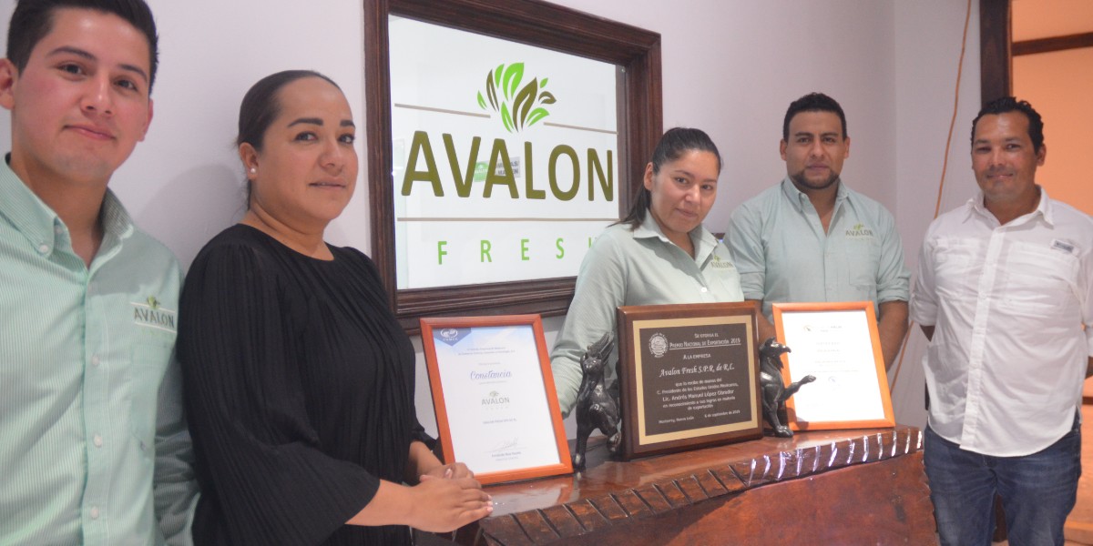 Recibe Avalon distintivo de Proveedor Global de Productos Frescos