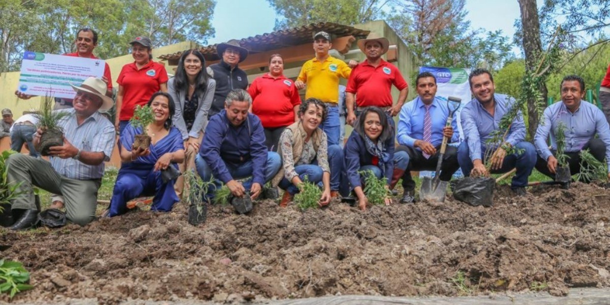 Guanajuato protege el paso de la mariposa monarca