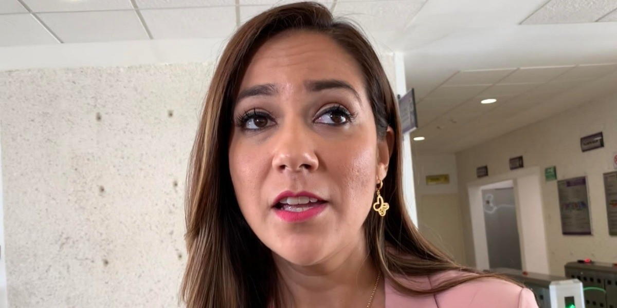 Taxis ejecutivos por plataforma digital llegaron para quedarse: Libia García