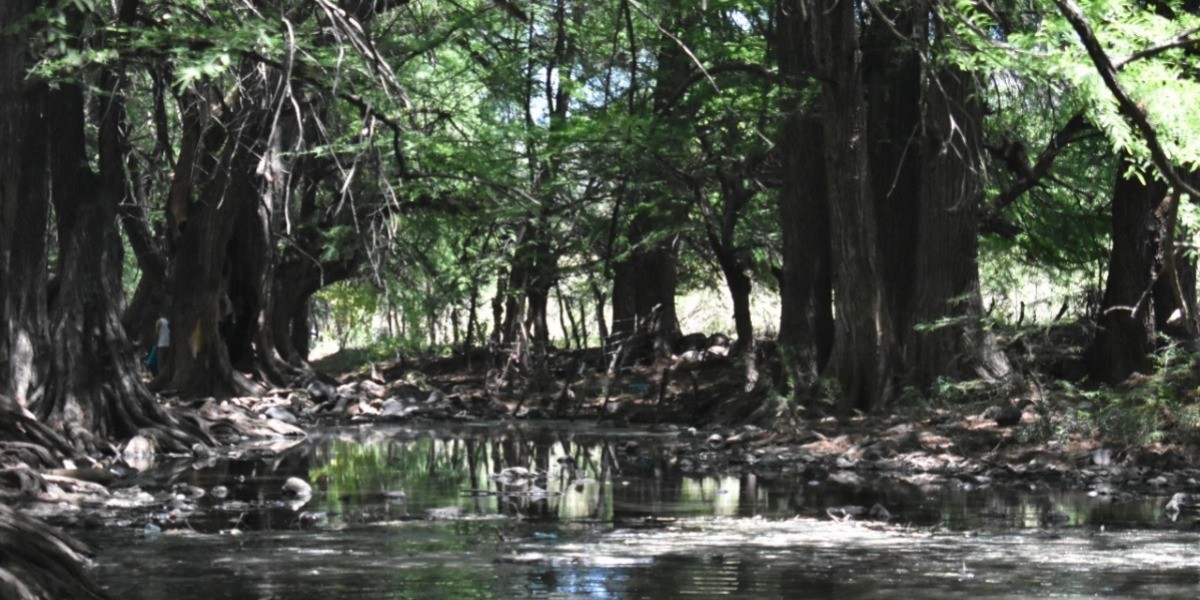 Alistan presentación de Motofiesta León 2019 en Las Musas