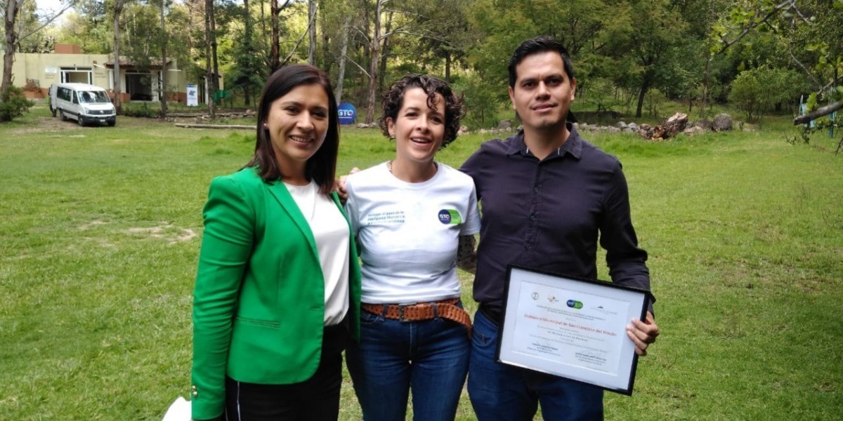 Protegen ruta de la mariposa monarca