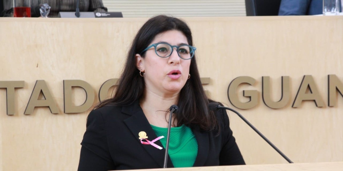 Cargos directivos del Congreso son acaparados por hombres, acusa PVEM