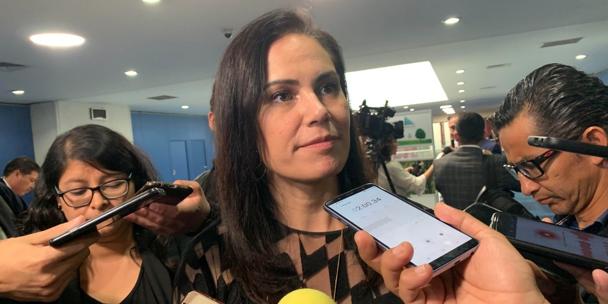 Préstamo estatal se aprobará hasta 2020