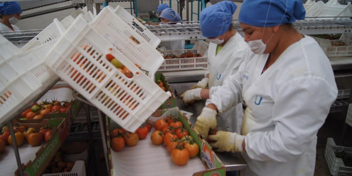 Ojo, mañana vence el plazo para el pago de aguinaldos