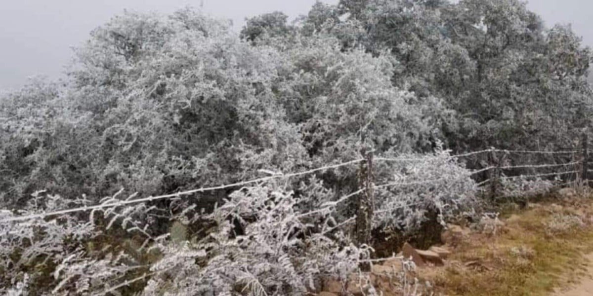 Abrígate, el termómetro llegará hasta 0° en el estado