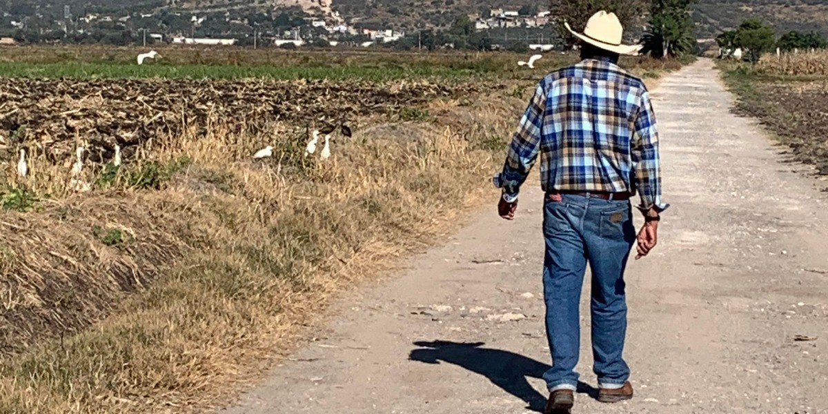 Programa Paisano atenderá a más de 10 mil en León