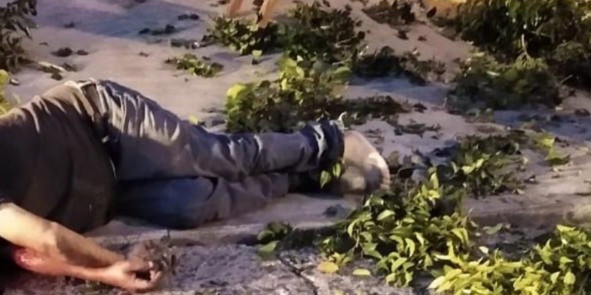 Muere al caer de escalera cuando podaba árbol