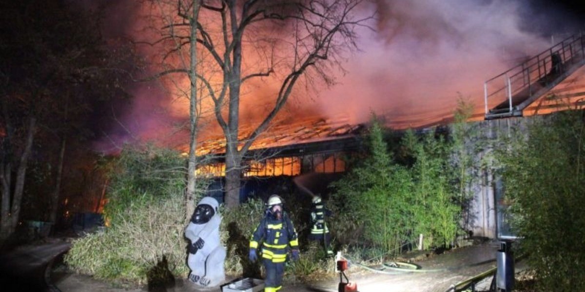 Investigan a 3 mujeres por incendio en Zoológico alemán