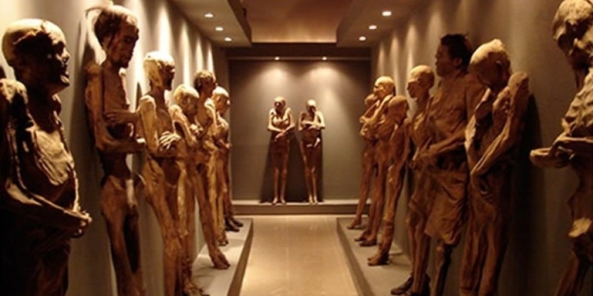 ‘Momias Viajeras’ llegan de tour a San Luis Potosí