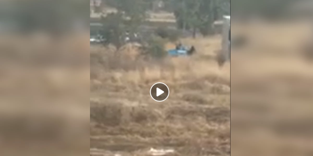 Investigan a policías por presunto desmantelamiento de auto