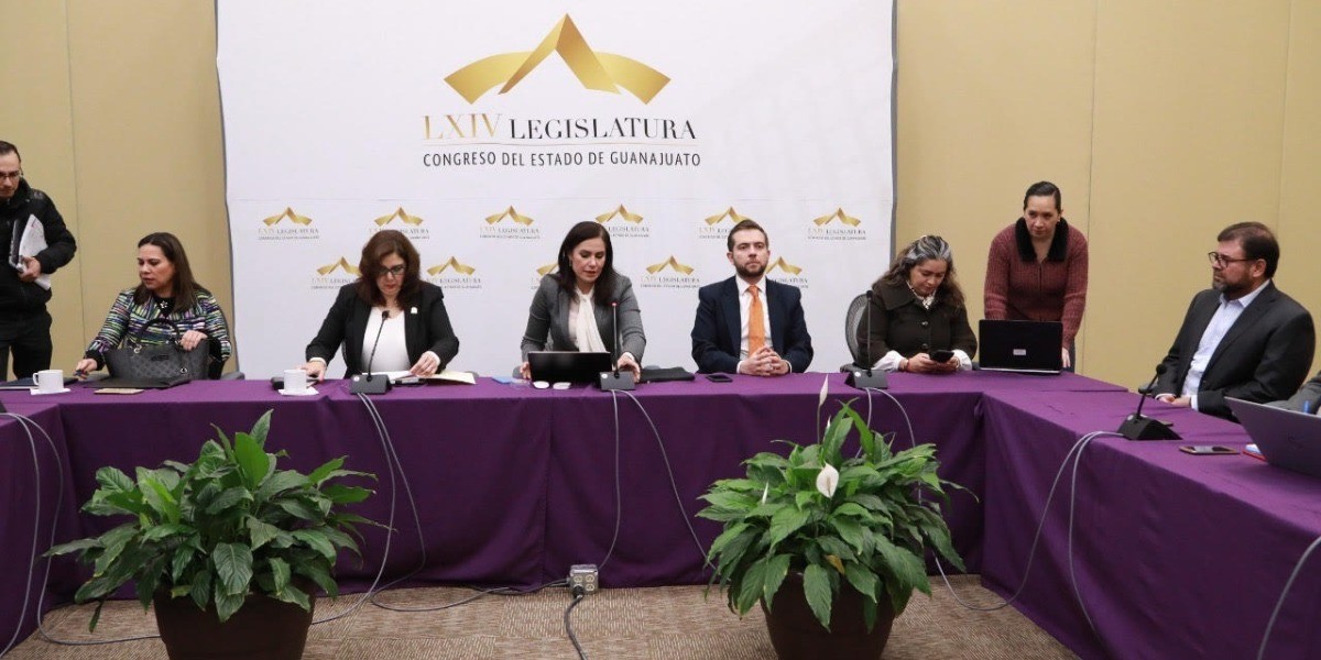 Es la Comisión de Hacienda la que fiscalizará la deuda: Diputada