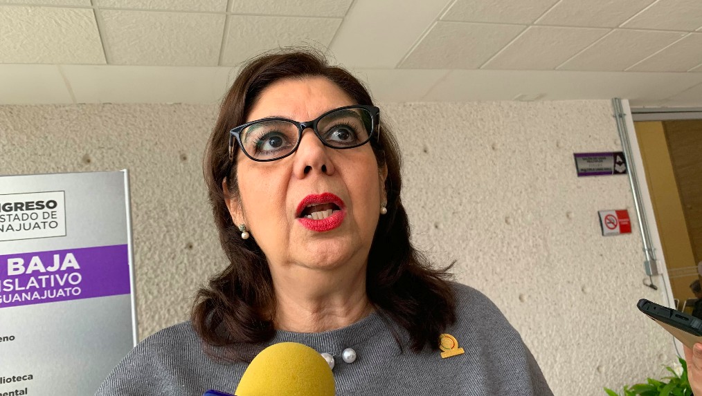 No existen planillas de unidad en renovación del PRI: Celeste Gómez