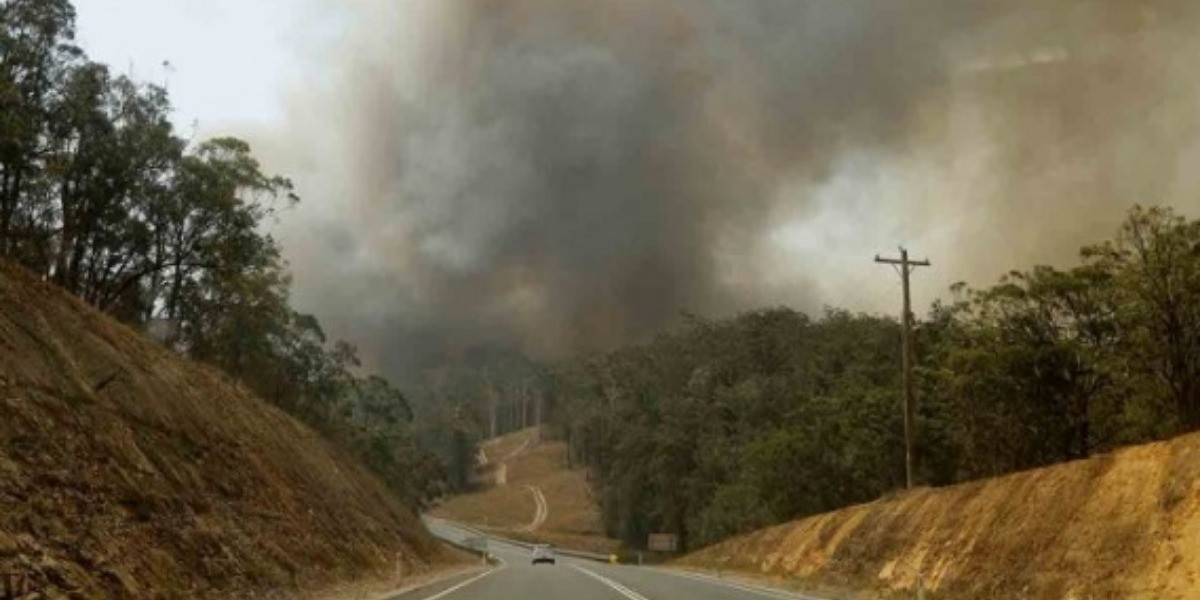 ¡Al fin controlan incendios en Australia!