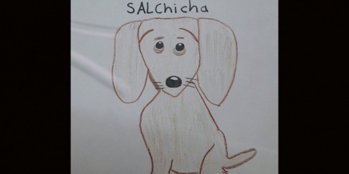 Niño pierde a su perrita y la busca con dibujo
