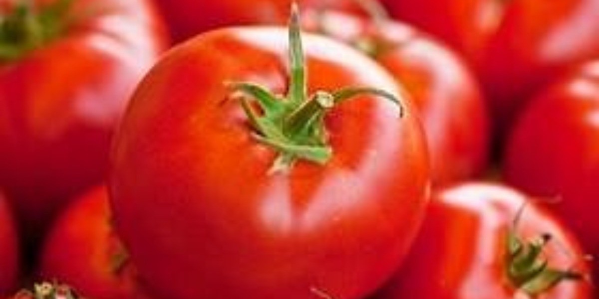 Costo del jitomate sube hasta 25% por heladas