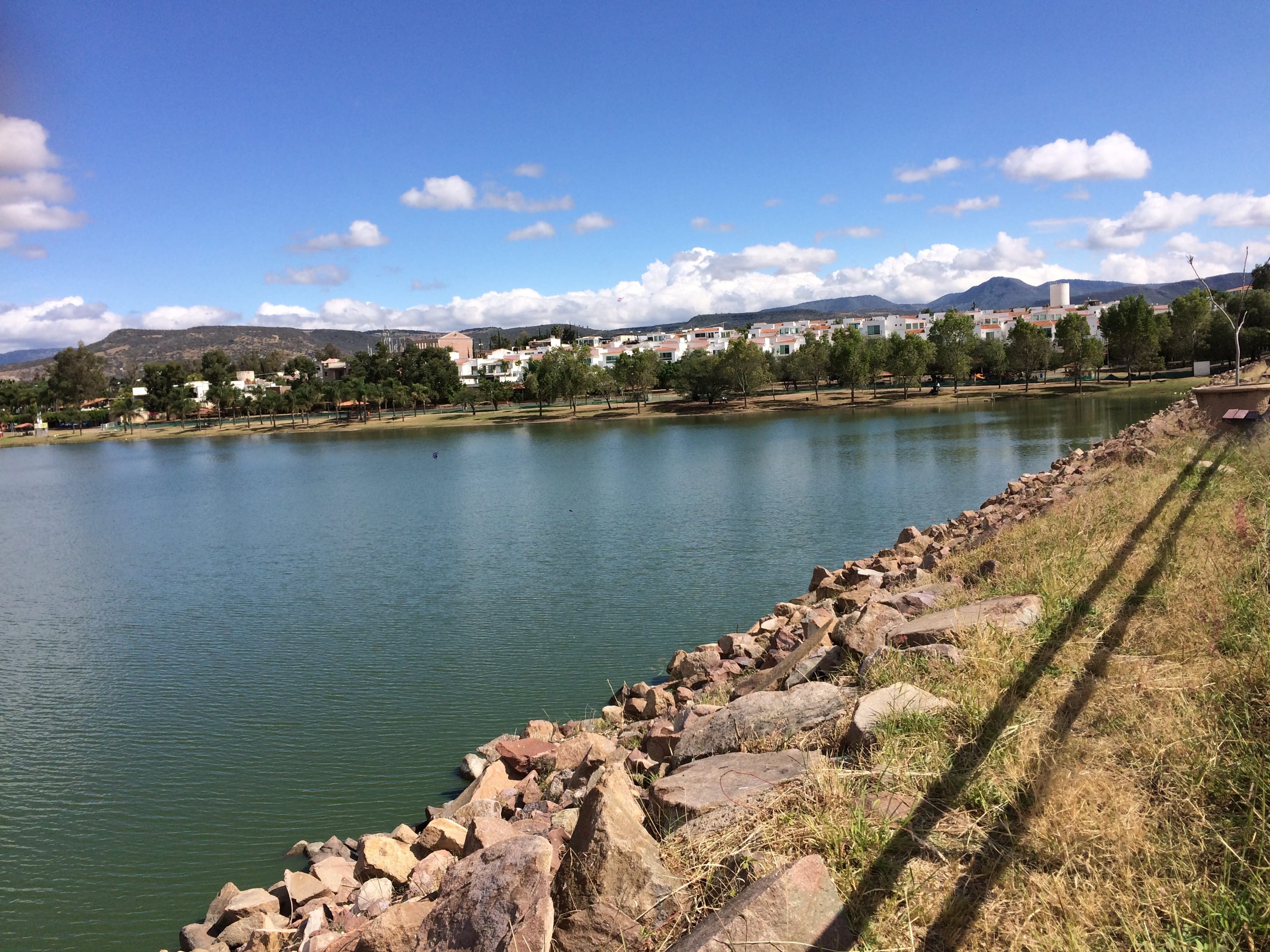 Perfilan gratuidad dominical en Metropolitano