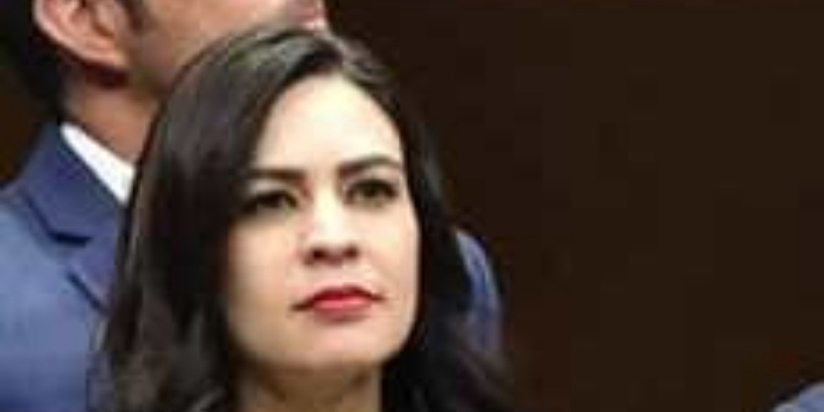 Pide diputada incentivos fiscales ante efectos de pandemia