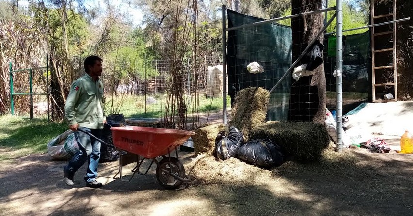 Arriesgan la salud por cuidar a animales del ZooLeón