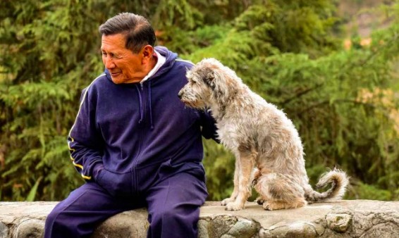 Adultos mayores deben estar en aislamiento estricto