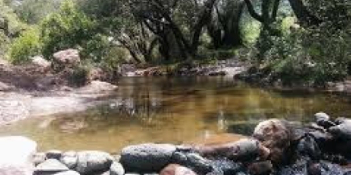 Llevarán empleos temporales a zona rural de León durante contingencia