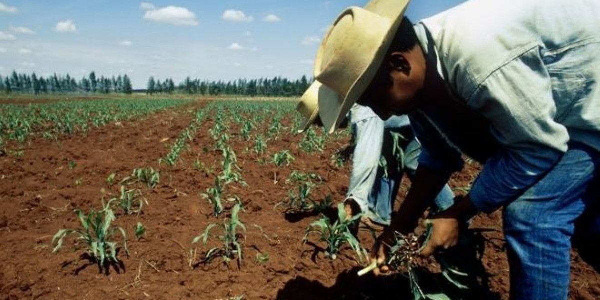 Empresas que no paren deben extremar medidas de sanidad: CTM