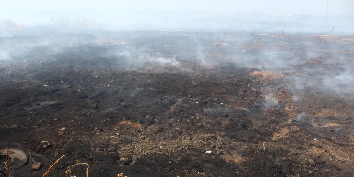 Sí se combate incendio en Presa Blanca: Protección Civil
