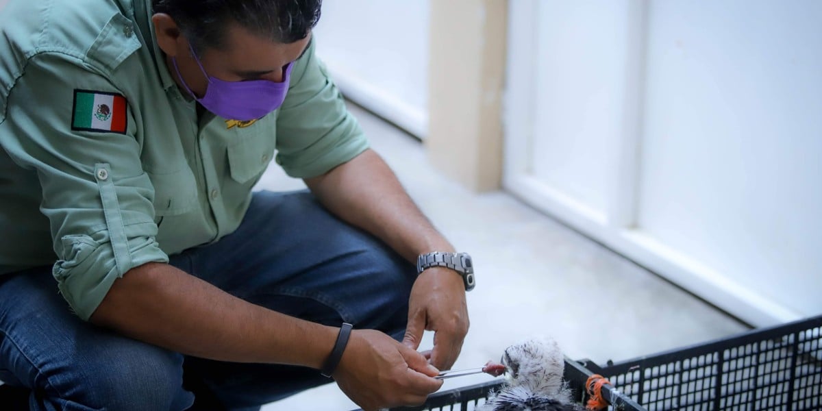 Pérdidas millonarias en el ZooLeón por Covid-19